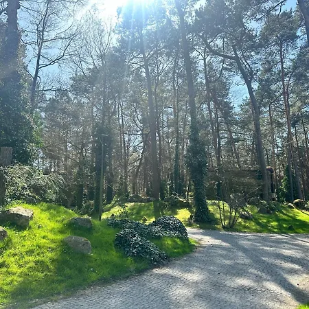 Centrum Szkoleniowo-wypoczynkowe Sloneczny Brzeg *
