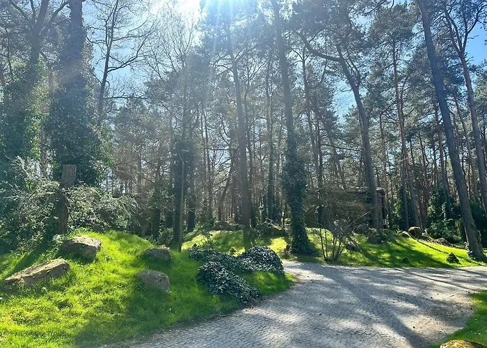 Centrum Szkoleniowo-wypoczynkowe Sloneczny Brzeg *